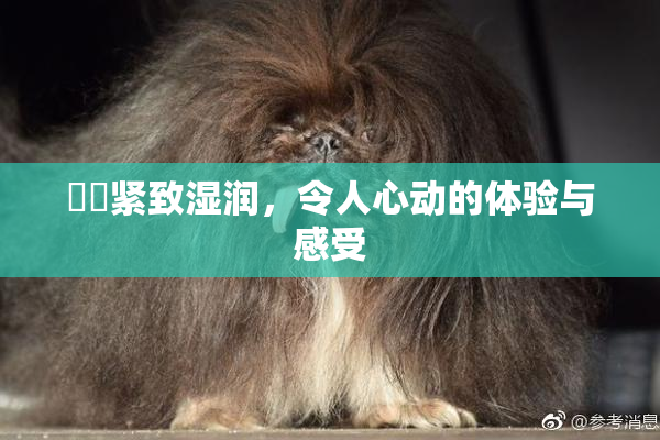 妺妺紧致湿润，令人心动的体验与感受