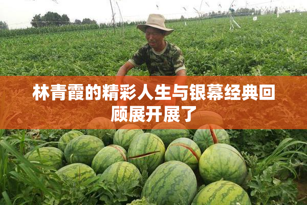林青霞的精彩人生与银幕经典回顾展开展了