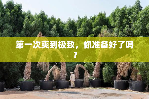 第一次爽到极致，你准备好了吗？