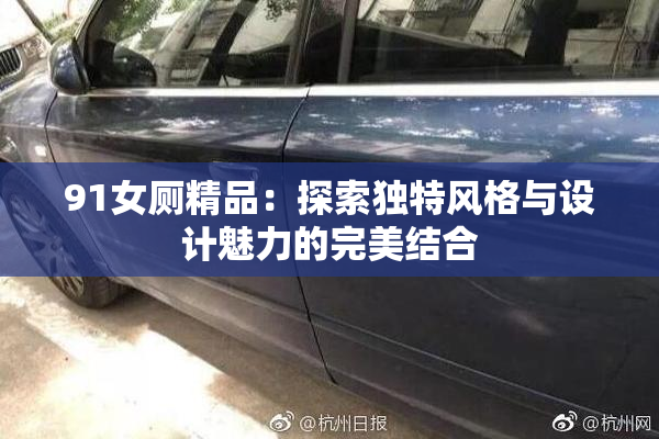 91女厕精品：探索独特风格与设计魅力的完美结合