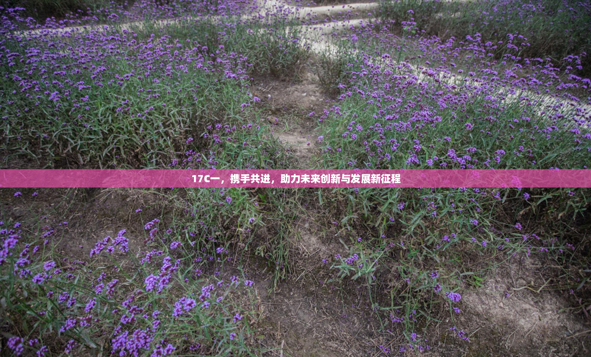 17C一，携手共进，助力未来创新与发展新征程