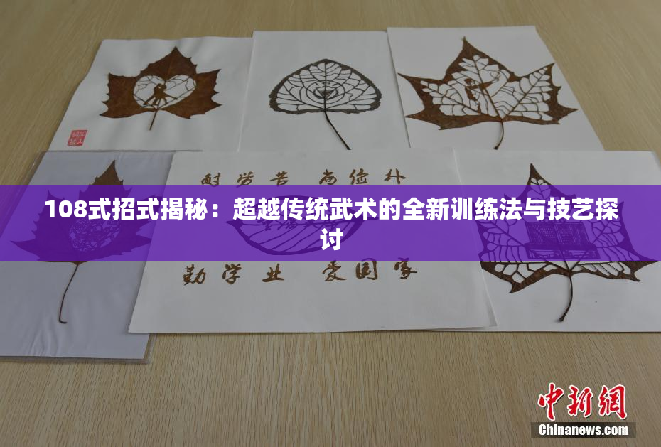 108式招式揭秘：超越传统武术的全新训练法与技艺探讨