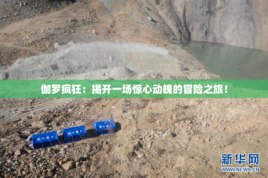 伽罗疯狂：揭开一场惊心动魄的冒险之旅！