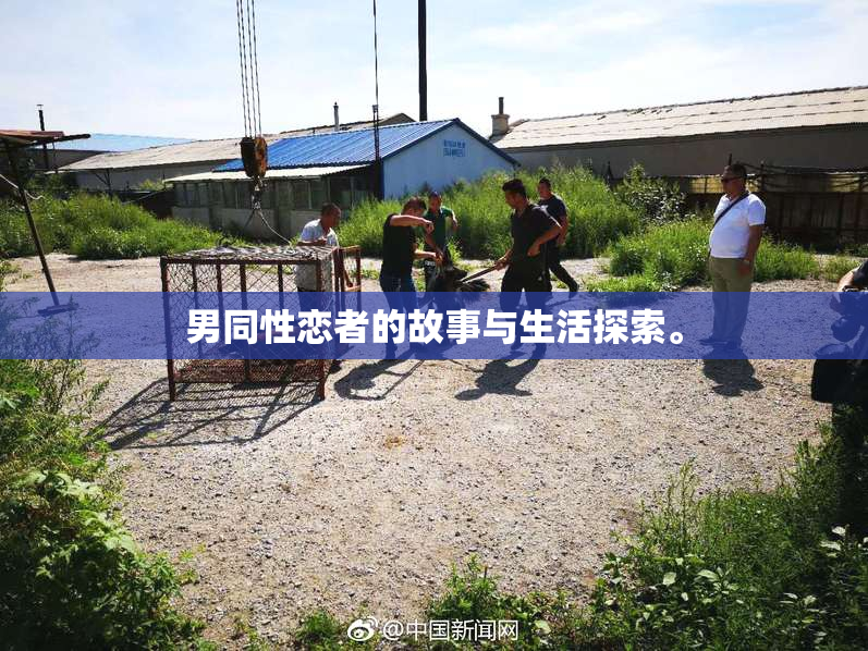 男同性恋者的故事与生活探索。