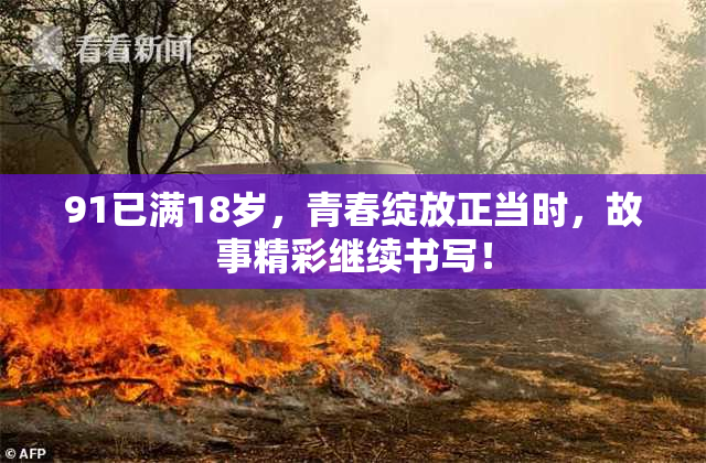 91已满18岁，青春绽放正当时，故事精彩继续书写！
