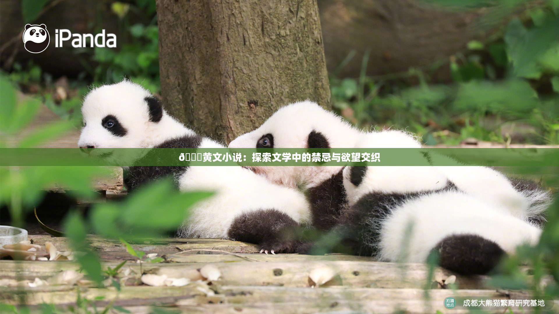 🔞黄文小说：探索文学中的禁忌与欲望交织