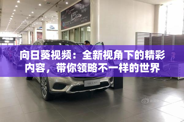 向日葵视频：全新视角下的精彩内容，带你领略不一样的世界