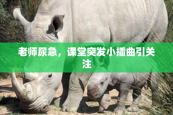 老师尿急，课堂突发小插曲引关注