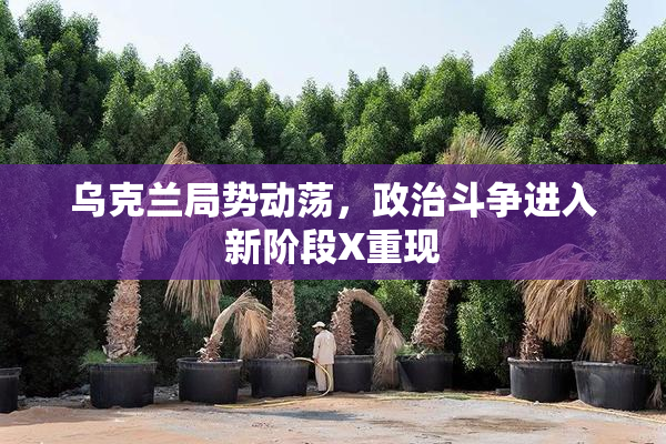 乌克兰局势动荡，政治斗争进入新阶段X重现