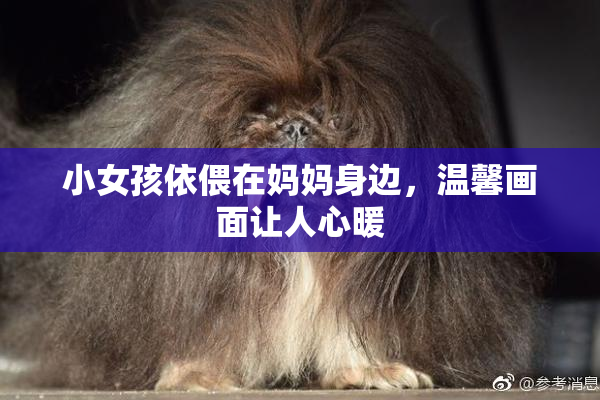 小女孩依偎在妈妈身边，温馨画面让人心暖