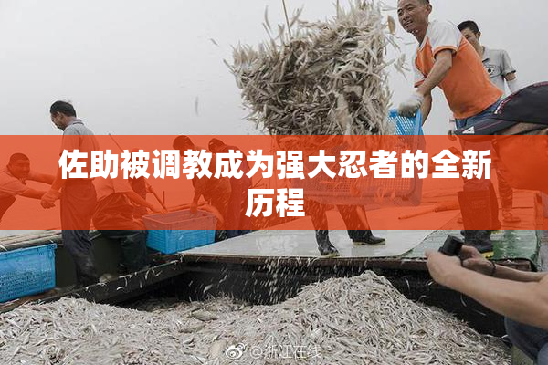 佐助被调教成为强大忍者的全新历程