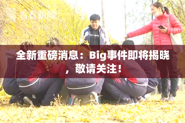 全新重磅消息：Big事件即将揭晓，敬请关注！