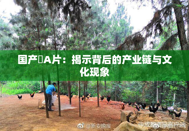 国产婬A片：揭示背后的产业链与文化现象