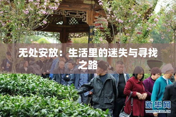 无处安放：生活里的迷失与寻找之路