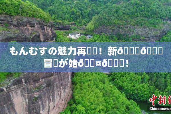 もんむすの魅力再発見！新👅🍑冒険が始🖤🌃！