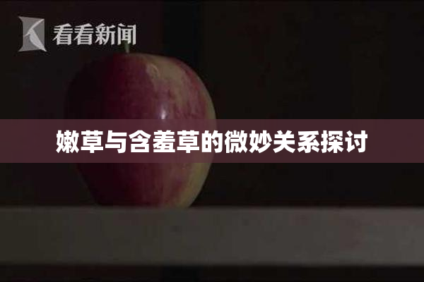 嫩草与含羞草的微妙关系探讨