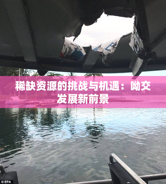 稀缺资源的挑战与机遇：呦交发展新前景