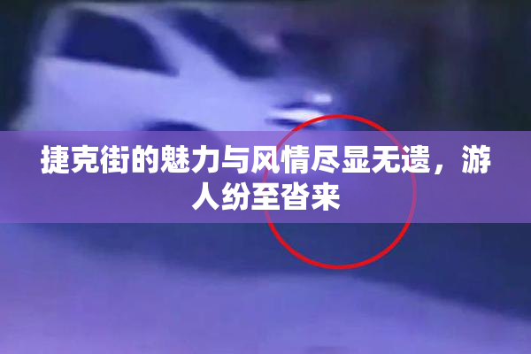 捷克街的魅力与风情尽显无遗，游人纷至沓来