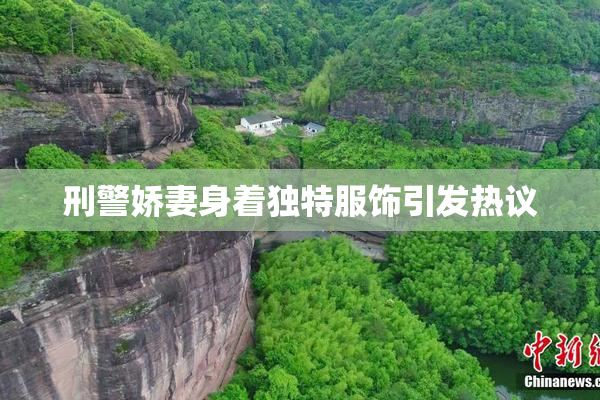 刑警娇妻身着独特服饰引发热议