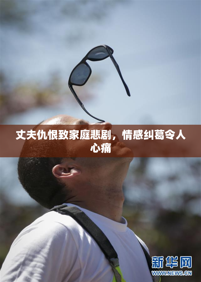 丈夫仇恨致家庭悲剧，情感纠葛令人心痛
