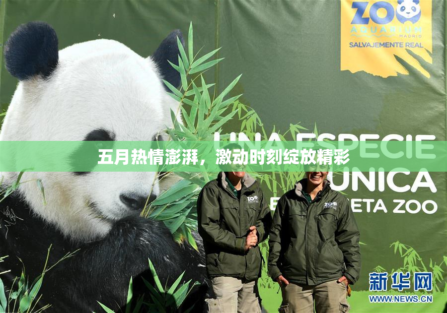 五月热情澎湃，激动时刻绽放精彩