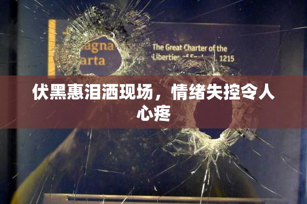 伏黑惠泪洒现场，情绪失控令人心疼