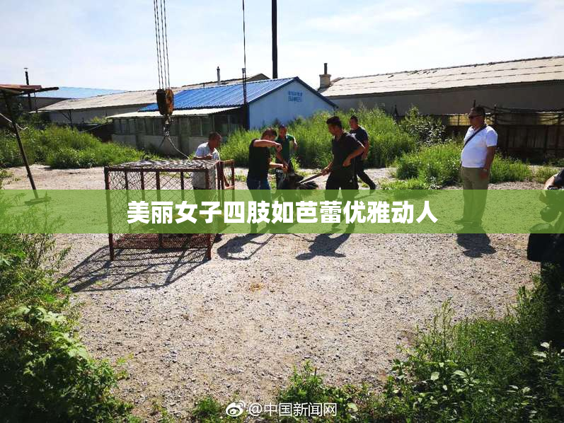 美丽女子四肢如芭蕾优雅动人