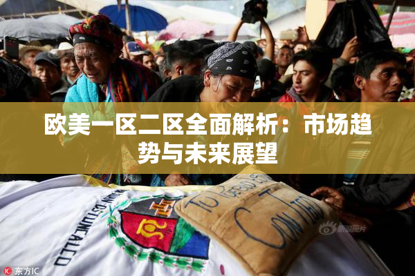 欧美一区二区全面解析：市场趋势与未来展望