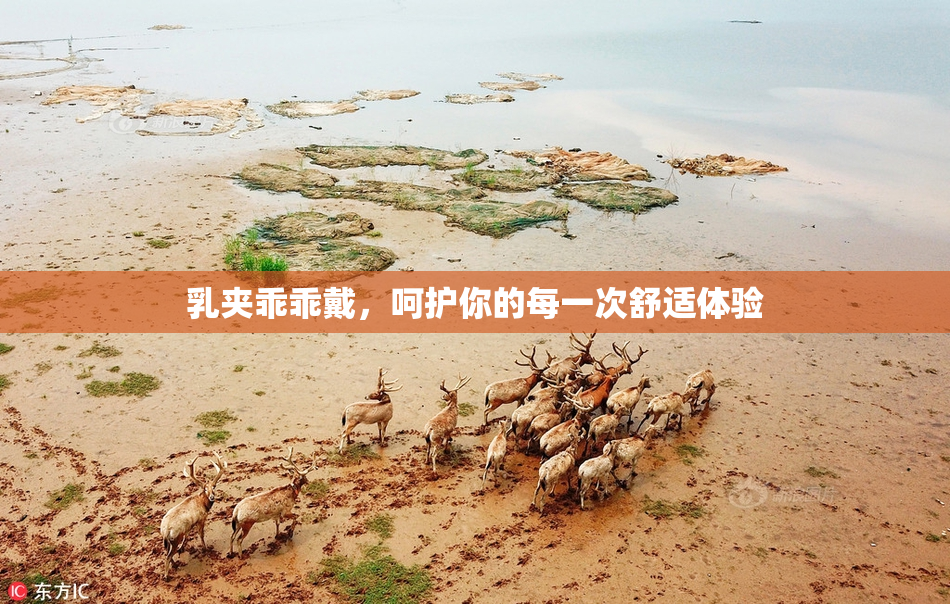 乳夹乖乖戴，呵护你的每一次舒适体验