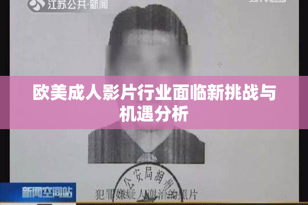 欧美成人影片行业面临新挑战与机遇分析
