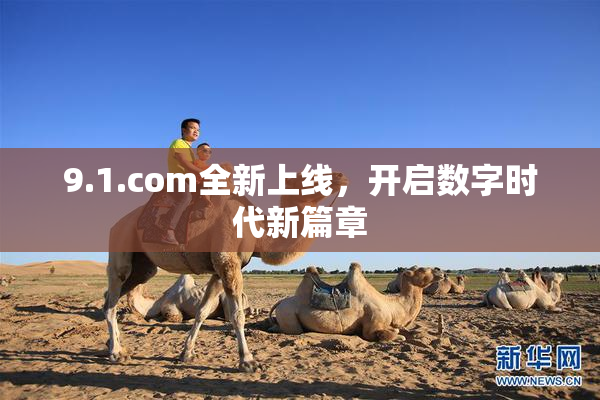 9.1.com全新上线，开启数字时代新篇章