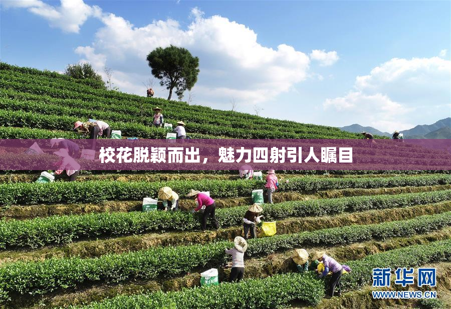 校花脱颖而出，魅力四射引人瞩目