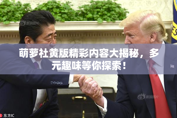萌萝社黄版精彩内容大揭秘，多元趣味等你探索！