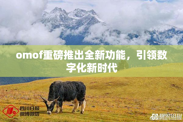 omof重磅推出全新功能，引领数字化新时代