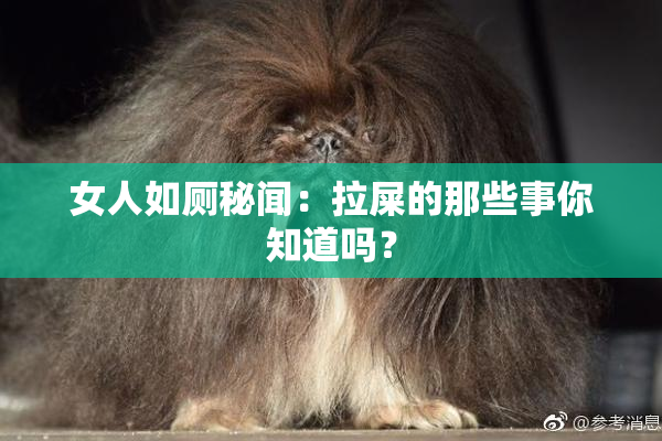 女人如厕秘闻：拉屎的那些事你知道吗？