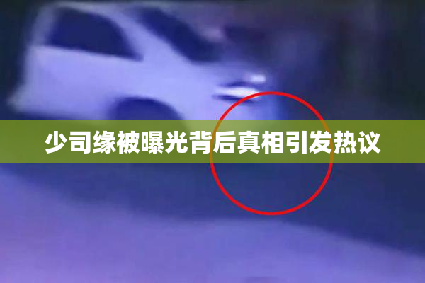 少司缘被曝光背后真相引发热议