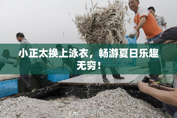 小正太换上泳衣，畅游夏日乐趣无穷！