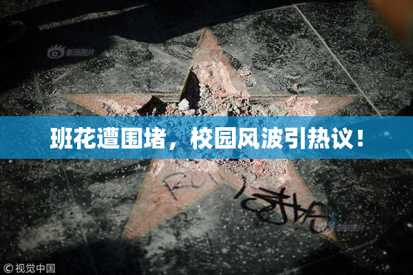班花遭围堵，校园风波引热议！