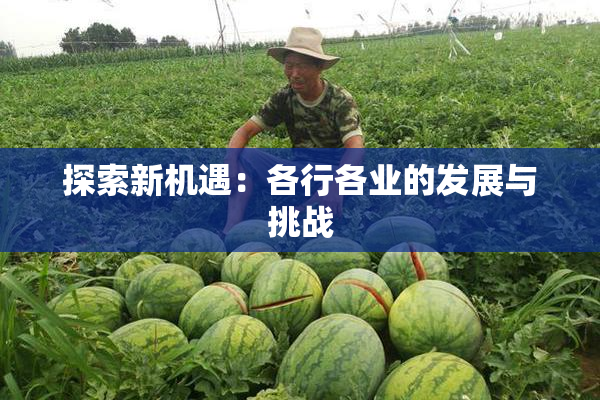 探索新机遇：各行各业的发展与挑战