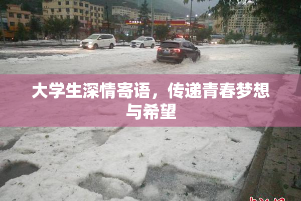 大学生深情寄语，传递青春梦想与希望