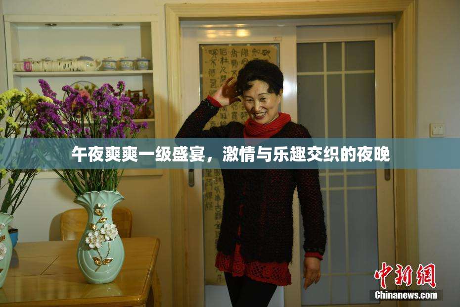 午夜爽爽一级盛宴，激情与乐趣交织的夜晚