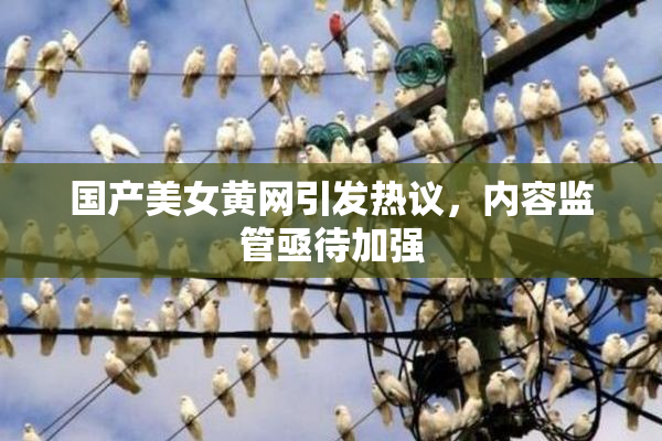 国产美女黄网引发热议，内容监管亟待加强