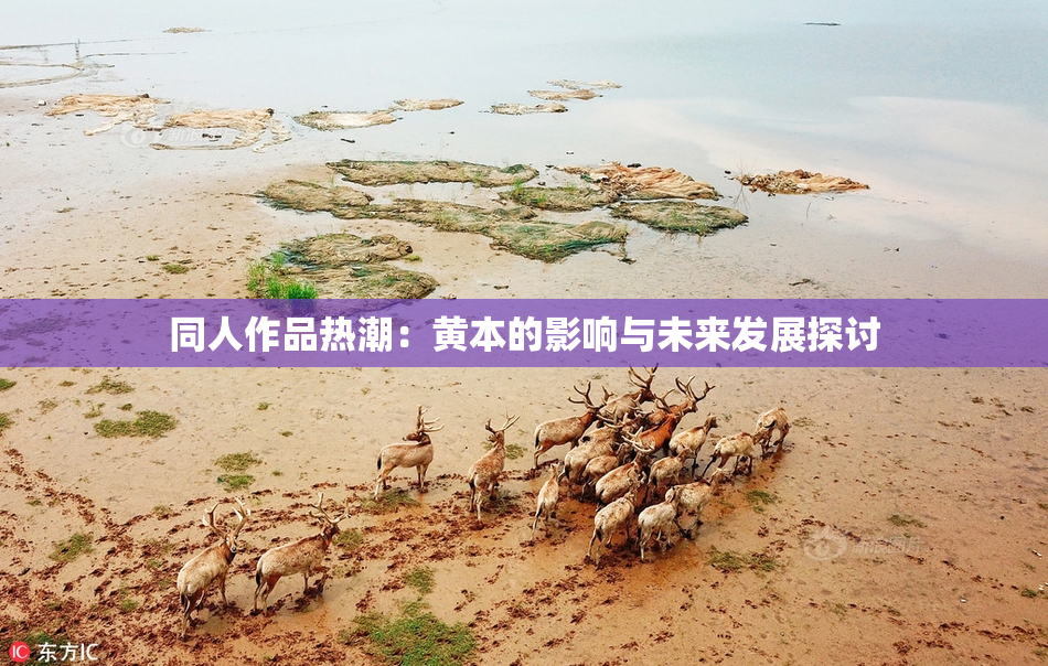 同人作品热潮：黄本的影响与未来发展探讨