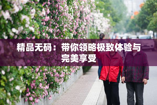 精品无码：带你领略极致体验与完美享受