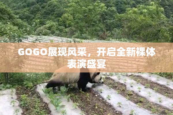 GOGO展现风采，开启全新裸体表演盛宴