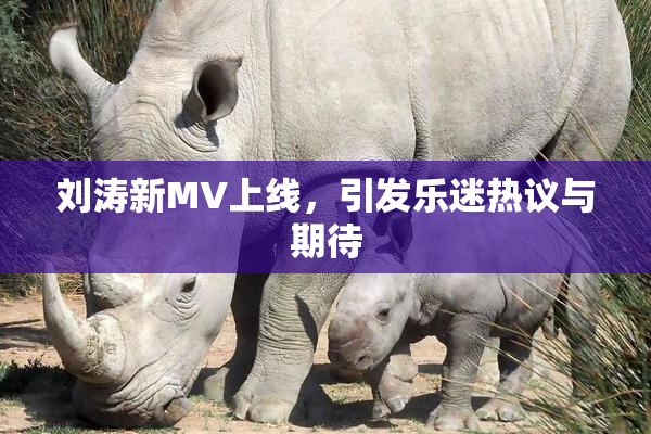 刘涛新MV上线，引发乐迷热议与期待