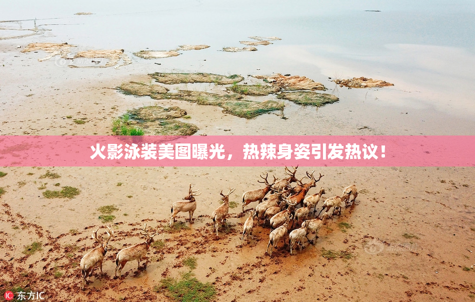 火影泳装美图曝光，热辣身姿引发热议！