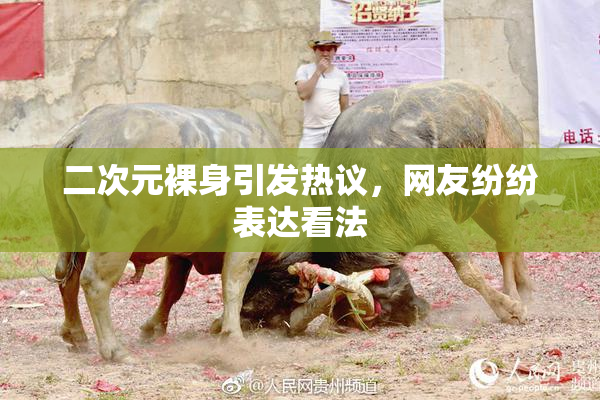 二次元裸身引发热议，网友纷纷表达看法