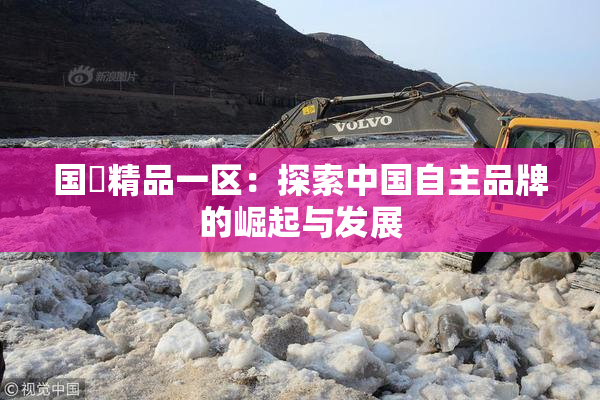 国產精品一区：探索中国自主品牌的崛起与发展
