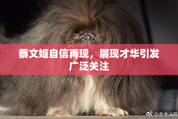 蔡文姬自信再现，展现才华引发广泛关注